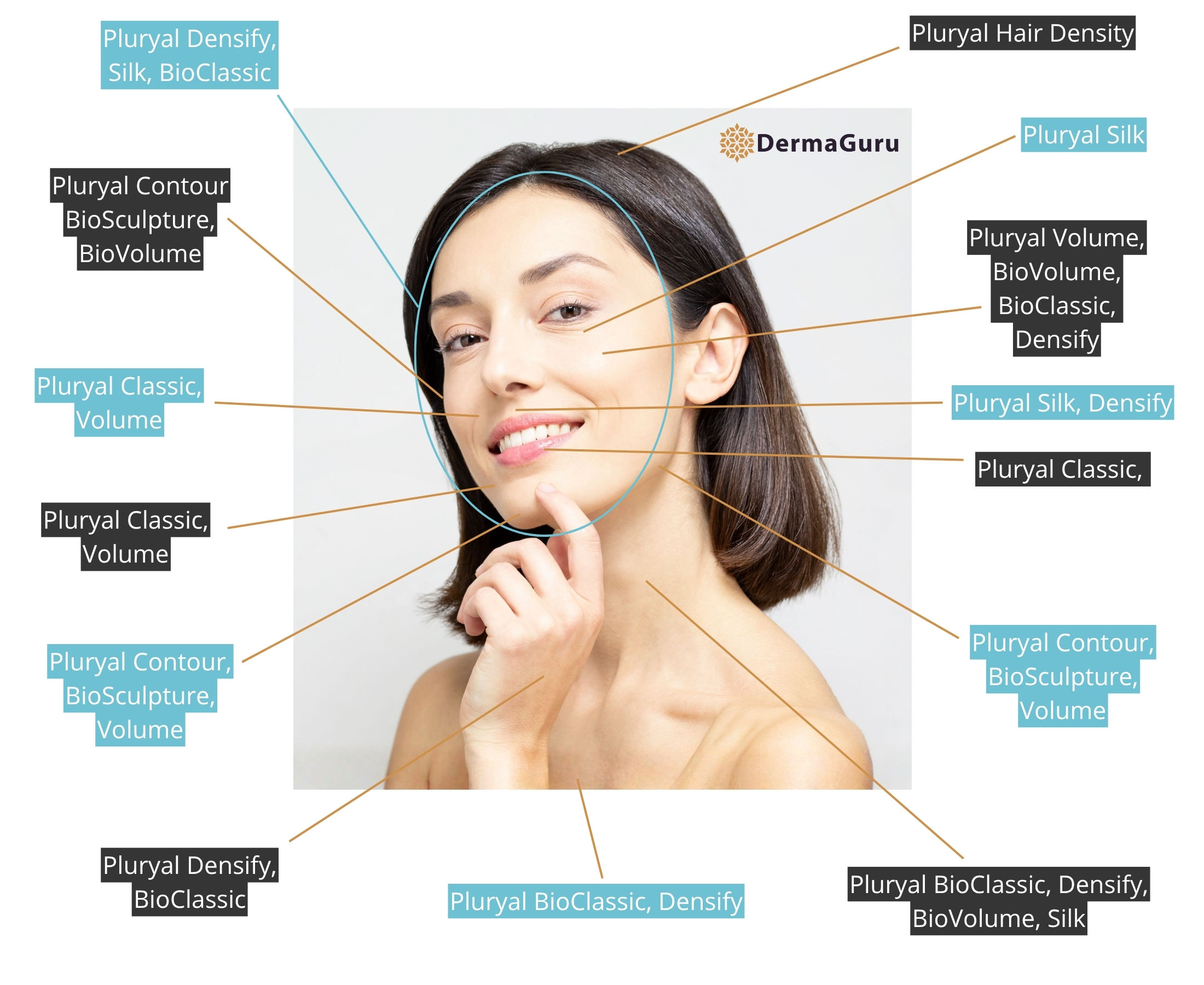 Pluryal Indikationskarte